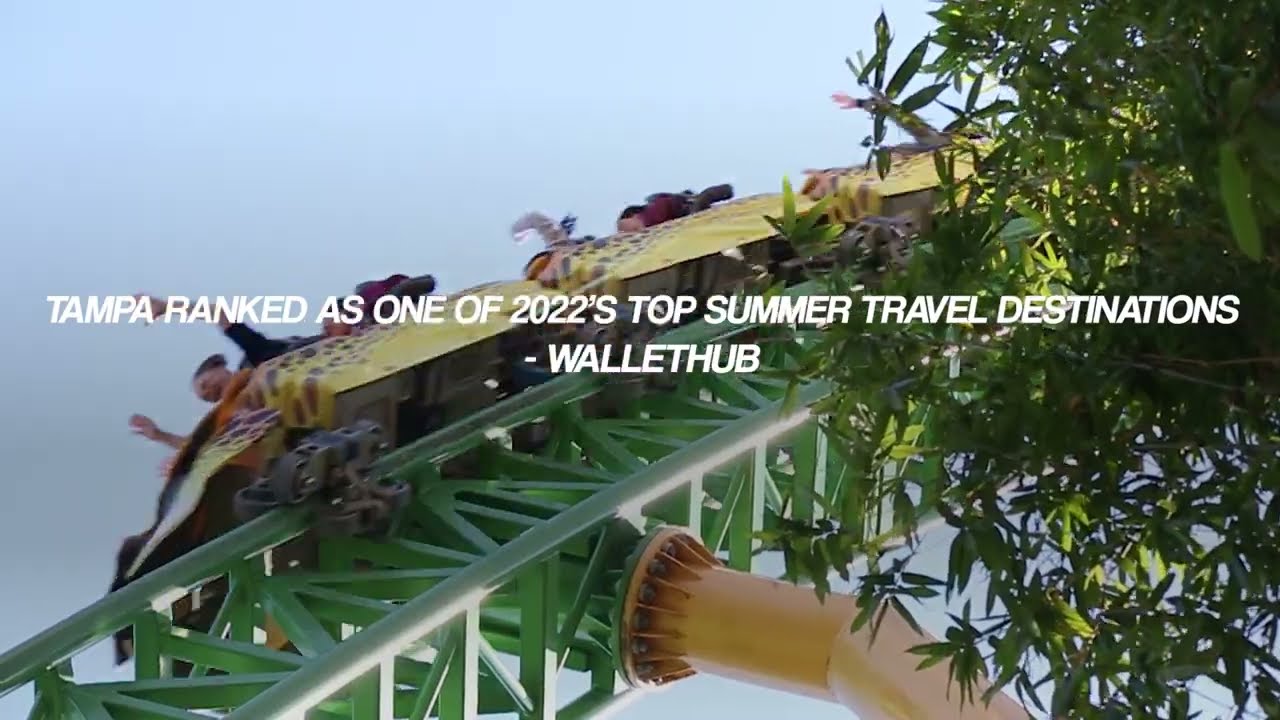 Discover the Magic of Tampa