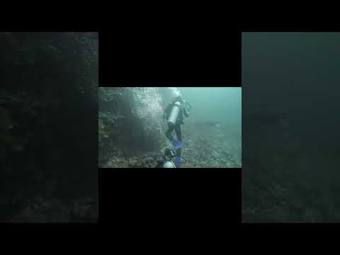 Dive with Scuba Iguana, Santa Cruz Island, Galapagos Ecuador June 2022
