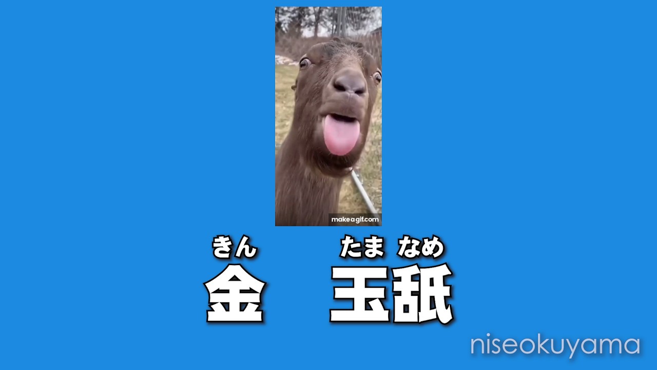 ワンクリ詐欺 NG動画　「金」さんは請求免除されるようです