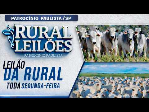 ✅📌 Leilão Virtual e Presencial Rural Leilões - Patrocínio Paulista/SP