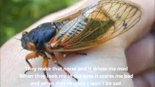 The Cicada Song with Lyrics
