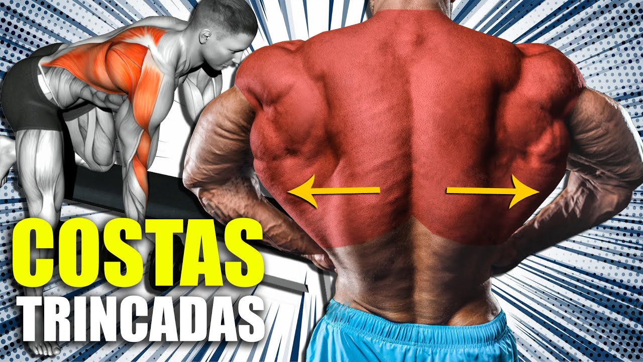 TREINO DE COSTAS COM HALTERES [DORSAL COMPLETO]
