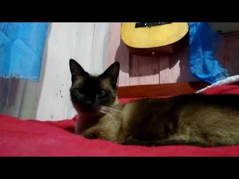 Narcisa e bibi 😃😃😃