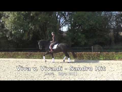 Viva v. Vivaldi - Sandro Hit 2011 W