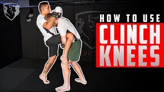 How to Use Clinch Knees in MMA like Henry Cejudo