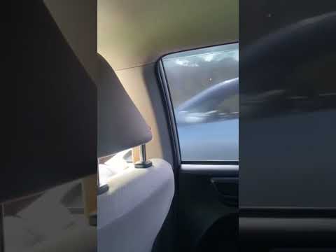 Thumbnail for Toyota Wish try keeping up with Toyota Aixo, Nissan Splphy #race #jamaica#deafcommunity #travelvlog by Toyota Wish