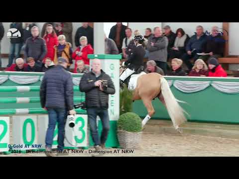 ATS HENGSTE ON TOUR GAHLEN 2023