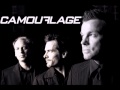 Camouflage - Bitter Taste