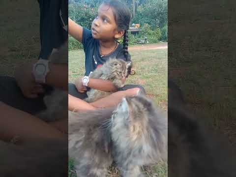 #anu#punithrajkumar#bhagyavantaru#songs#short#drbro#anvitha @malenaadasoundarya ❤️