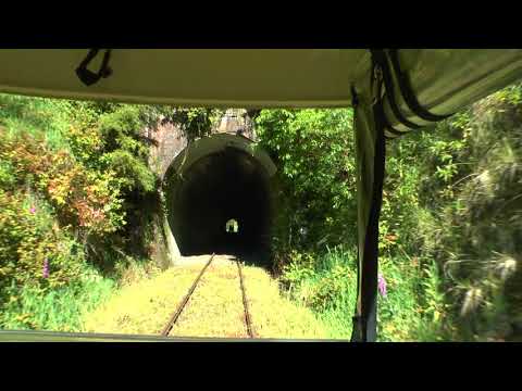 FORGOTTEN WORLD RAILCART TRIP OKAHUKURA TO WHANGAMOMONA