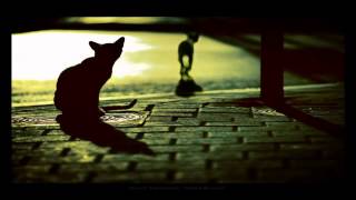 Bonobo - Kiara (Extended Mix)