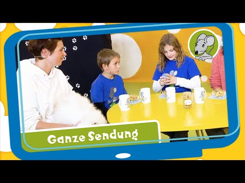 Hallo Benjamin! Katzen - was schnurrt denn da? - Kindersendung