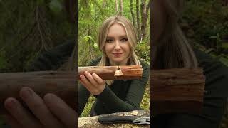 GENIUS campfire pot hanger EASY to make 🔥🪓 #camping #bushcraft #survival #outdoors