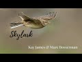 Skylark-Rosemary Clooney cover-Kay James Singer-ft Marc Bosserman