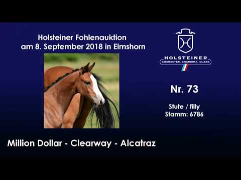 Holsteiner Fohlenauktion | Nr. 73 v. Million Dollar - Clearway