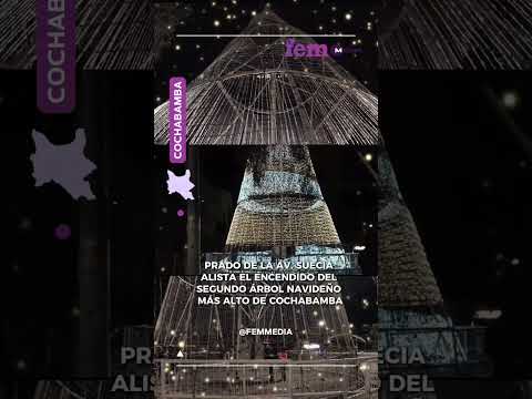 Prado de la Av. Suecia alista el encendido del segundo árbol navideño más alto de Cochabamba
