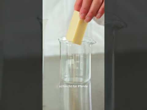 Kein Menschenshampoo für Pferde