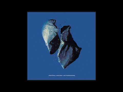 Irrational Language - Perfect Machine Feat. Lucky