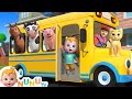 Wheels On The Bus Animals More Nursery Rhymes Kids Songs NuNu Tv