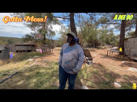 Getting rid of the rodent's home.