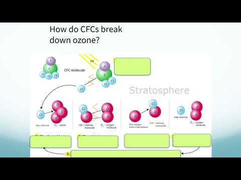 APES Unit 9.1 Stratospheric Ozone Depletion