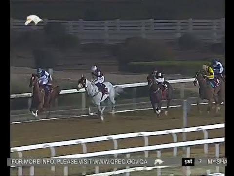 9th Race Meeting of Season 2017 / 2018