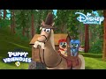 Puppy Vriendjes | Liedje: Pups op Pad  ? | Disney Channel NL