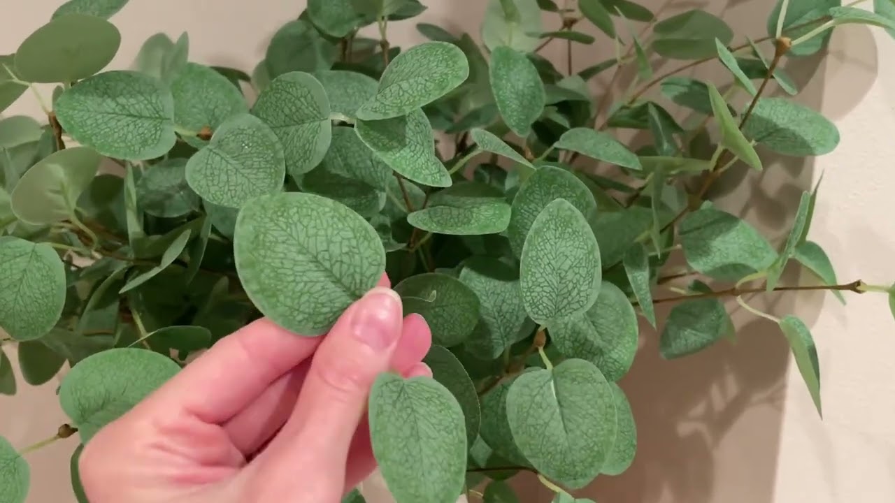 Quality Artificial Eucalyptus Stems