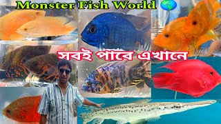 রঙিন মাছ আর এ্যাকুরিয়াম অ্যাকসেসারিস | Aquarium Fish Shop Shrirampur | Serampore Fish Pet Market 