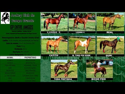 apresentação do torneio de potros 250mts