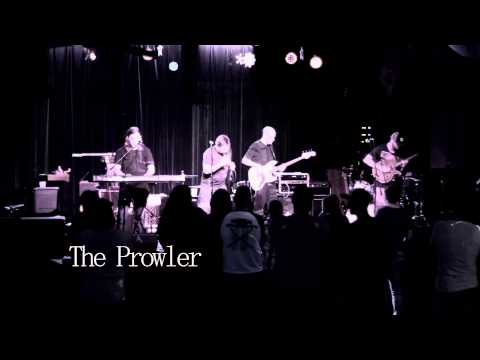 Artemia live at Sky City- entire set!