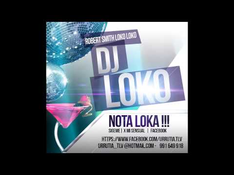 LMFAO  Bassjackers vs Martin Garrix   Party Rock Animals (DJ Loko)