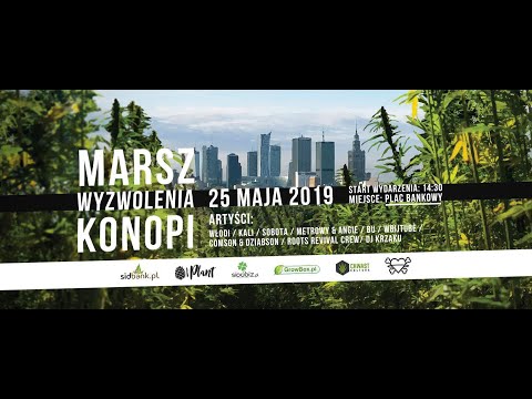 Dziabson - MWK 2K19 🕊 ft. DJ HWC (prod. D-Low) 🔥