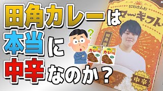 【徹底検証】カレー食べ比べ🍛田角カレーは本当に中辛なのか？【にじさんじフミ】