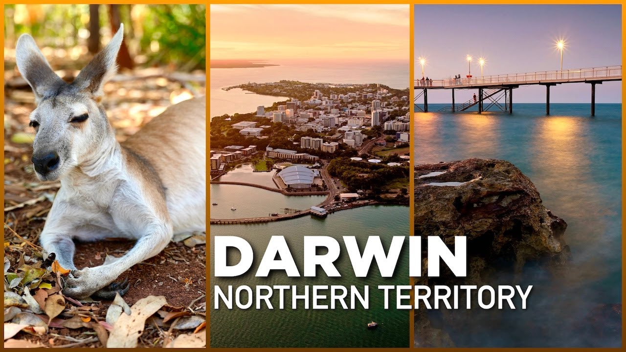 A walk through nature, history, and amazing views of Darwin’s skyline.