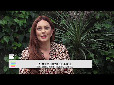 Vitrina e librit/ Përbindëshi Dado- Tuutikki Tolonen