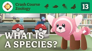 What is a Species? Crash Course Zoology #13