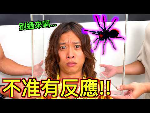 【第一屆猛男爭霸戰】誰才是台灣最猛的男人！！！？