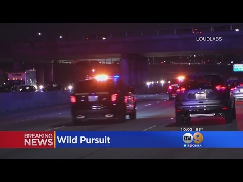 Wild Pursuit Ends Along Hollywood Walk of Fame