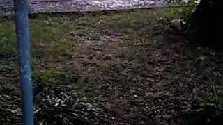 Help me please, I am not safe in my home Norwood Ohio 2