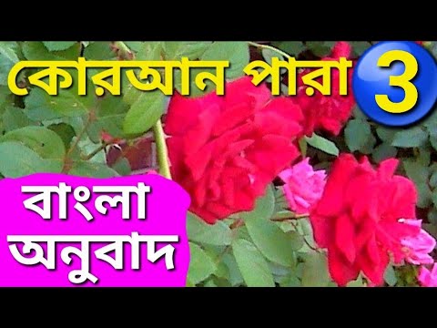 বাংলা অনুবাদ কোরআন পারা 3 |Quran Para 3 Bangla Translation