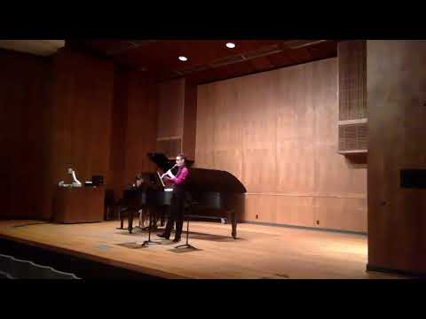 John Williams - 'Viktor's Tale' from "The Terminal"