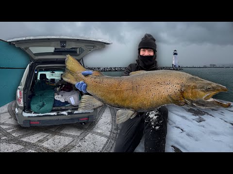 48 Hours Fishing & Car Camping for WORLD CLASS Brown Trout! (20 Pounds)