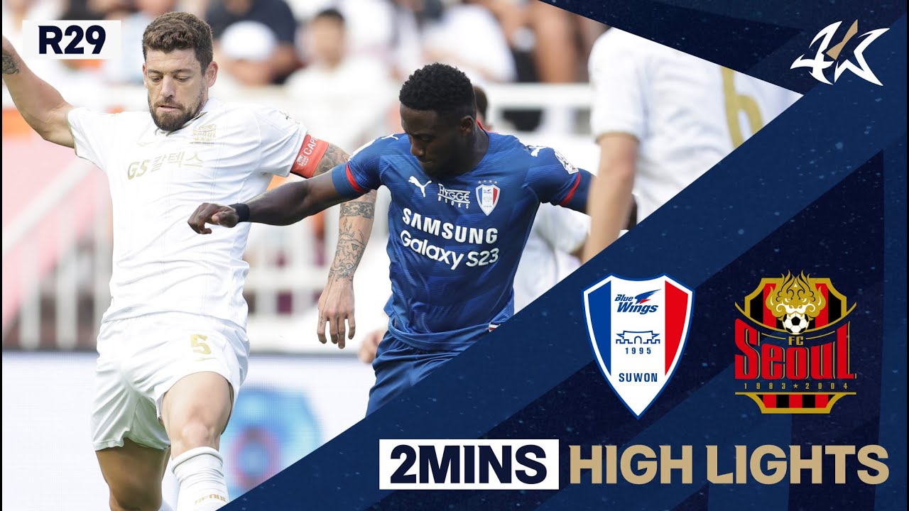 Suwon Bluewings vs Seoul highlights