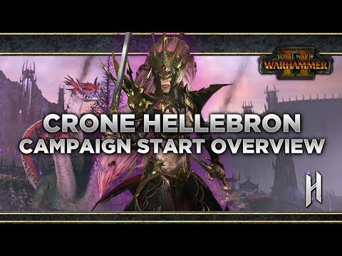 Crone Hellebron Campaign Start Overview | The Queen and the Crone DLC for Warhammer 2