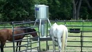 preview picture of video 'Feed Smart Automatic Horse Feeders - Nordheim Farm, La Grange Tx. Bought Second Feeder'