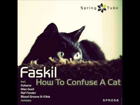 Faskil - How To Confuse A Cat (Kobana Remix) - Spring Tube