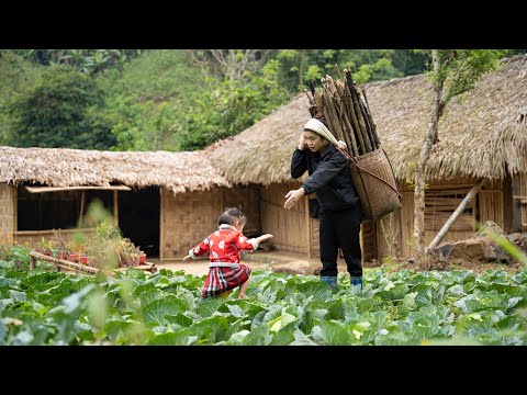Gardening, Firewood Sword, Harvesting Vegetables, Making Traditional Village Pickles | EP. 35