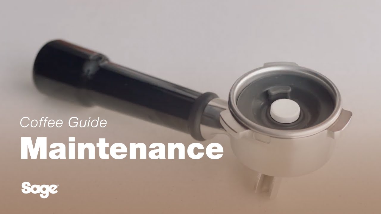 How to perform a cleaning cycle