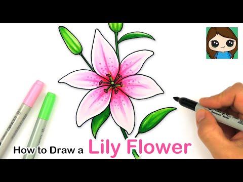 How To Draw A Lily Flower Easy